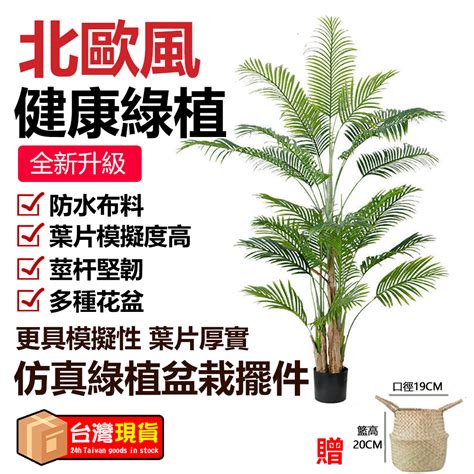 假樹|仿真植物栽盆/擺飾 